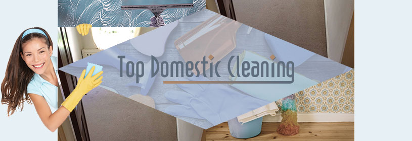 about top domestic cleaning