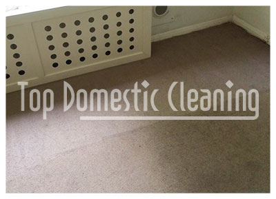 carpet cleaning