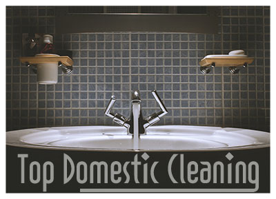 domestic cleaning